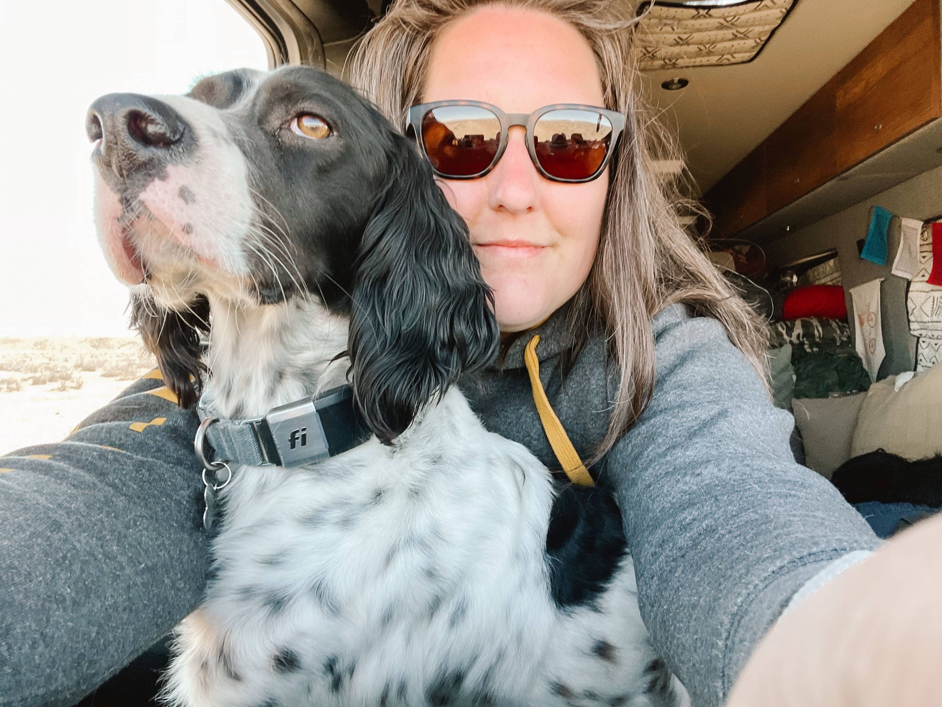 The Best Camper Van for Dogs Storyteller Overland LLC